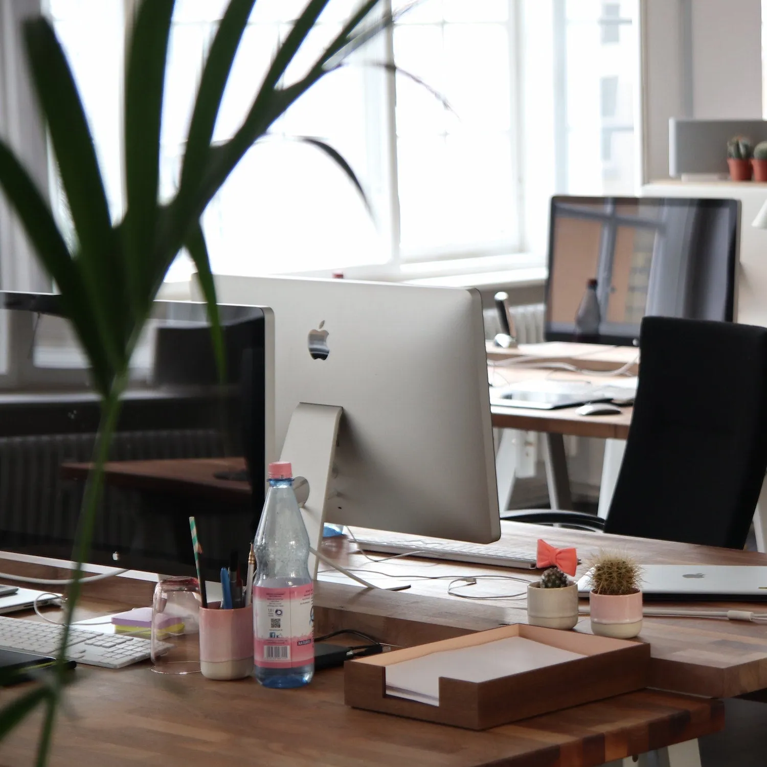 Bright, plant-filled office workspace with desktop computers
